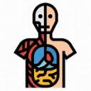 Anatomy Official Server Discord Server Icon