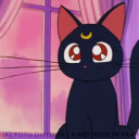 Purrfect Cafe India | Chat | Chill | Active | Social | Dating | Anime | Hindi |