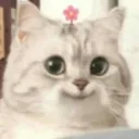 KATANYA SIH PUBG