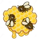 🍯 The Hive 🍯