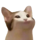 Temple du Popcat