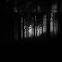 miwo's bunker Discord Server Icon