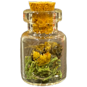 Art of the Dead Discord server icon