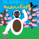 Mandrill Manifest!