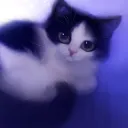 Ghoulthekitty