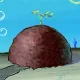 Patrick Fan Club
