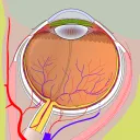 Research Myopia