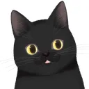 でみさんとこ
