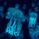 The jellyfish zone DISBOARD Discord Server List