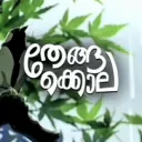 Thenga Kola discord icon