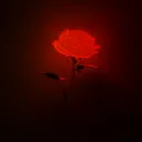 ~Roses