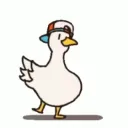 🦆PATOS CON FLOW ·