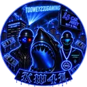 TOOWEY231GAMING Server