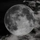 ℭ𝔞𝔩𝔦𝔤𝔦𝔫𝔬𝔰𝔦𝔱𝔶 Discord Server Icon