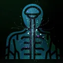 CNS