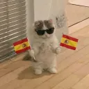 𝙇𝘼 𝙎𝙀𝘾𝙏𝘼