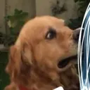 Servidor que o Duds tem poder