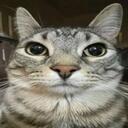 KAYS HANGOUT.TM Discord Server Icon