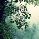 🧸 Studying session 📚's icon