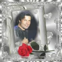 ˗ˏˋ꒰꒱ᴛʜᴇ ᴘᴜꜱꜱʏꜱ Discord Server Icon