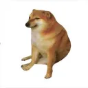 nada sospechoso aqui