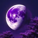 moon's cupboard
