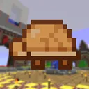 Turtle SMP