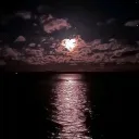 ｡.:* Moonlight *:.｡ Discord Server Icon