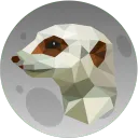 MOONKAT