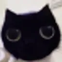 Catito Politico discord icon