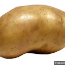 PATATE