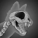 Skullycatz