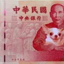 D&D5e-摩登