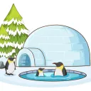 The Igloo