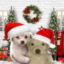 TGS| The Guris Society #2k Discord Server Icon