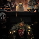 🦢 ⁺𝐇𝐈𝐑𝐀𝐄𝐓𝐇 ﹒social﹒rp⁺ Discord server icon