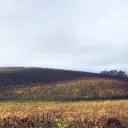 This is a Weird Hill to Die On Discord Server Icon