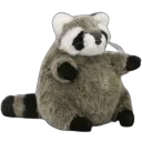 poicord