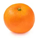 Orange Tree's icon