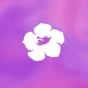 Air Aloha