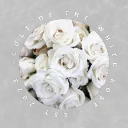 Cult of the White Rose