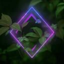 Server Icon