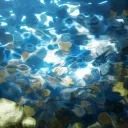 Onlygifs
