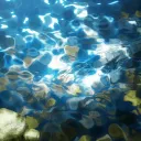 Onlygifs