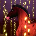 Star Equestrian