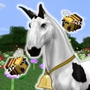 Star Equestrian