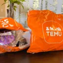Temu server