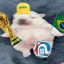 ✮•°◤ 𝙂𝙖𝙣𝙜 𝙙𝙤 𝘿𝙧𝙞𝙥 🏆 ⚽ ◥°•✮
