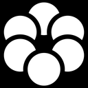 AP After Dark icon