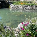 The Parkville Resort Discord Server Icon